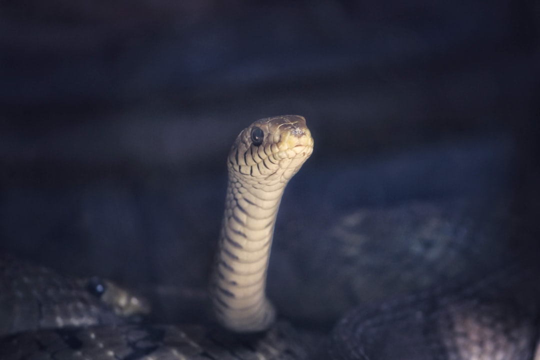 Corso Python e Machine Learning